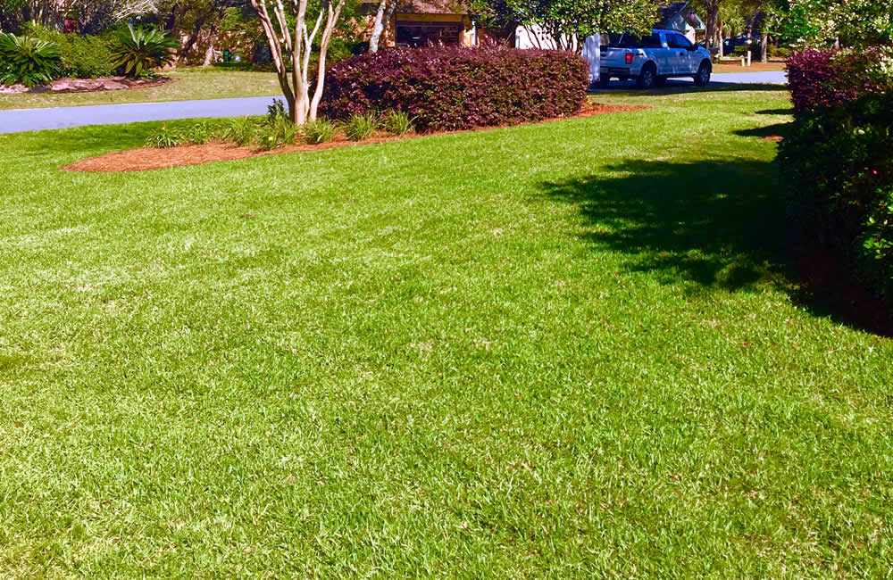 Florida Core Aerating Services Greenview Services