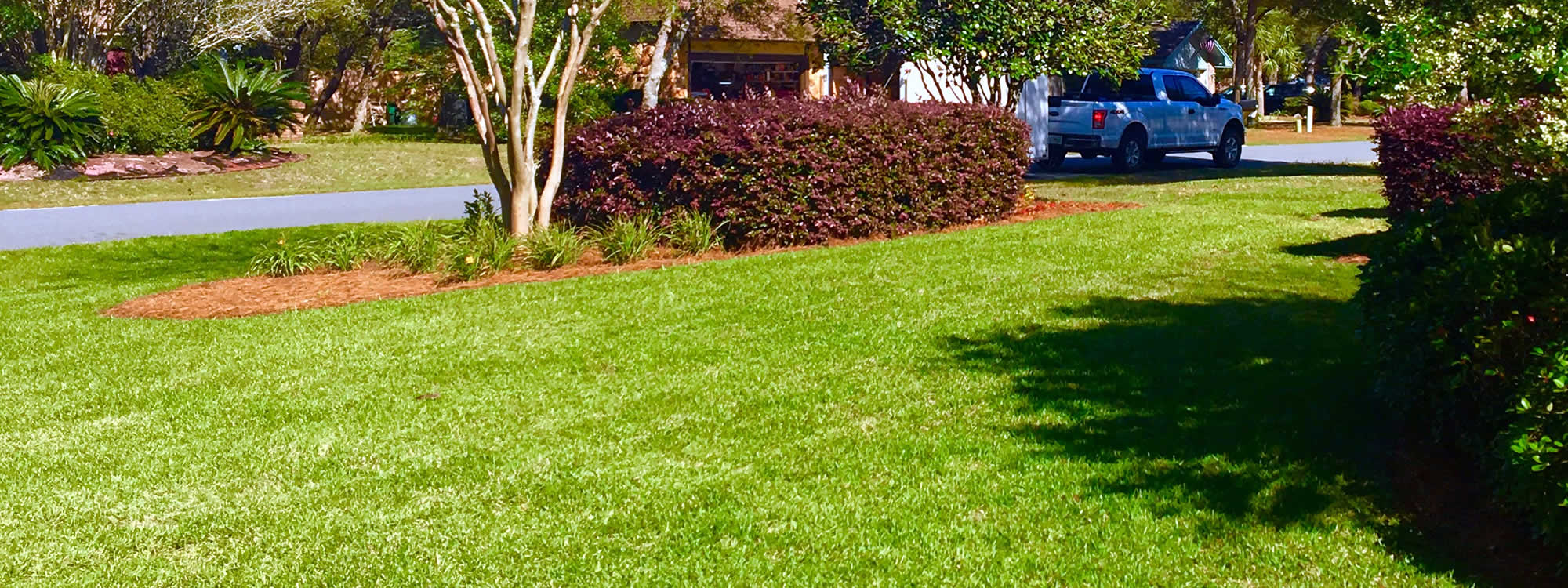 Florida Core Aerating Services Greenview Services