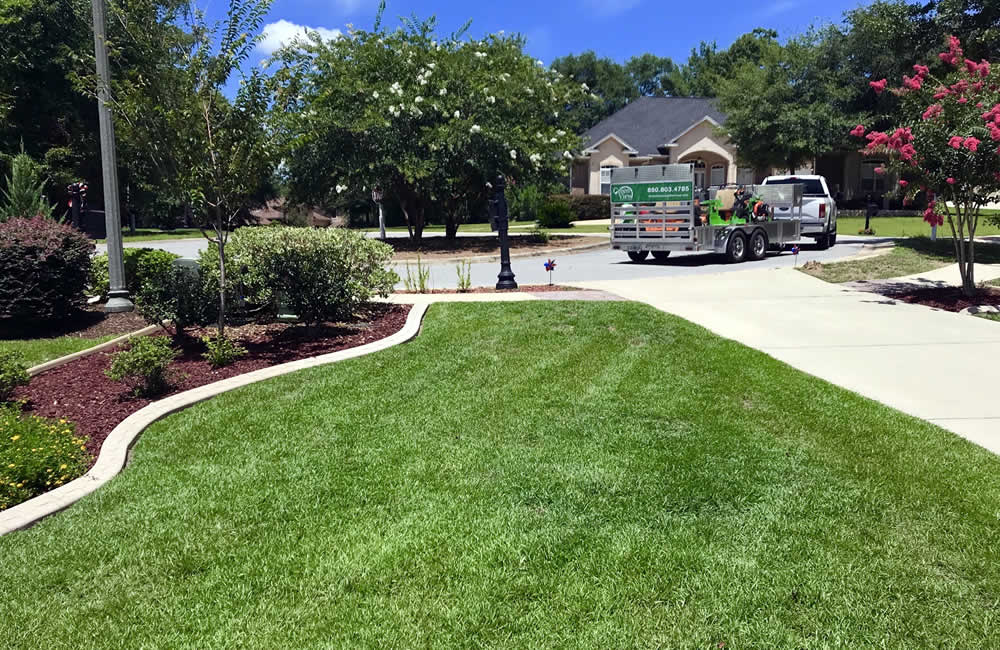 Florida Landscaping Services Greenview Services
