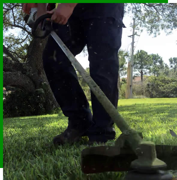 Professional Landscaping Services & Maintenance Services near me Florida