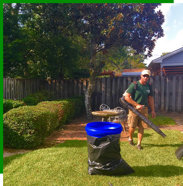 Professional Seasonal Yard Cleaning Leaf Removal Florida
