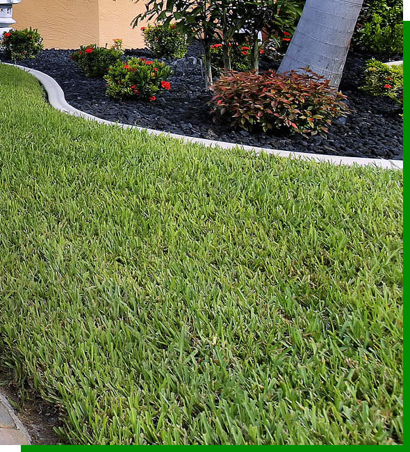 Professional Sod Installation Services near me Florida