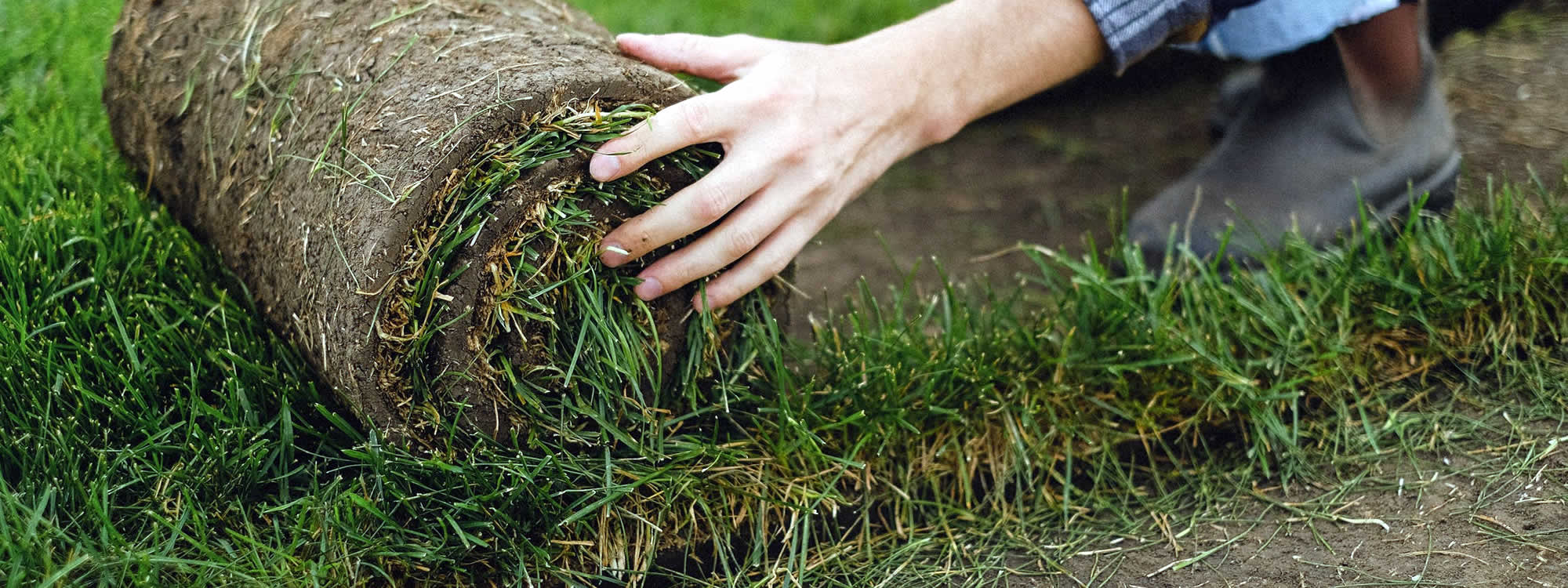 Florida Sod Installation Services Greenview Services